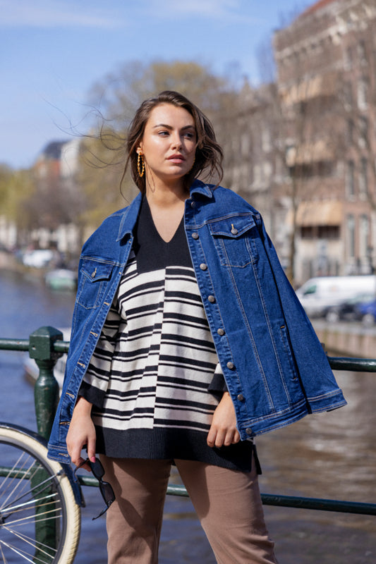 SWBITTE PULLOVER - Stribet Strik