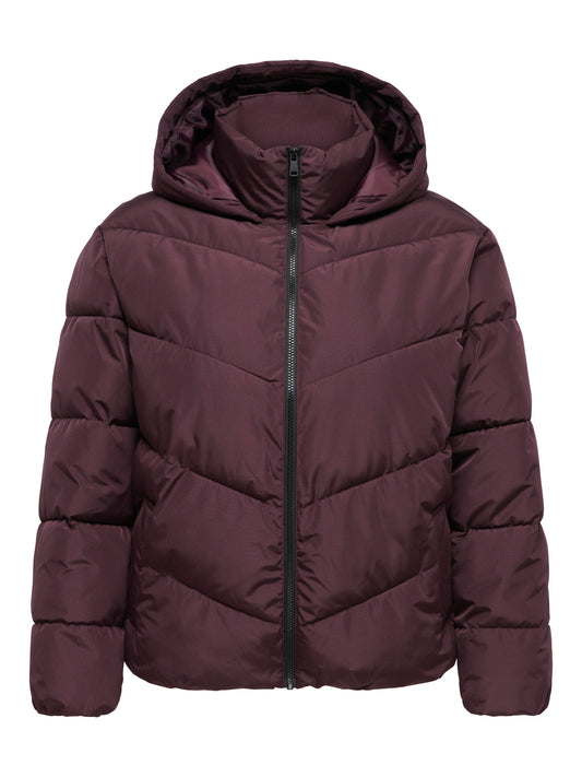 CarClair - Kort Puffer Jakke - Fudge