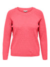 CARRICA LIFE L/S PULLOVER KNT NOOS
