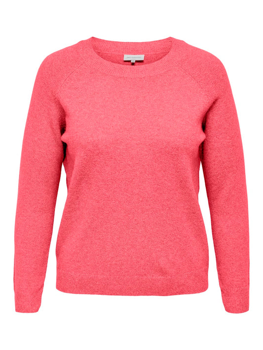 CARRICA LIFE L/S PULLOVER KNT NOOS