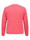 CARRICA LIFE L/S PULLOVER KNT NOOS