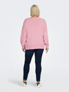 CarPetra - Strikbluse med Broderet Blomst