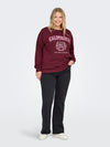 CARBEN - Sweatshirt med Tekst