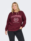 CARBEN - Sweatshirt med Tekst