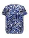 CarVica Topp