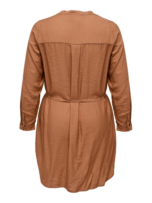 CARJANINE KNEE DRESS