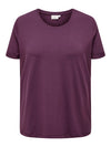 CARMOSTER S/S FOLD UP TOP