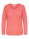 CARGEENA - Strik med V-hals - Coral & Navy