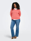 CARGEENA - Strik med V-hals - Coral & Navy