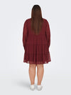 CARDOLLY L/S DRESS WVN