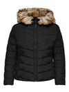 CarNewellan Quilted Hood Jacket-Pluspige
