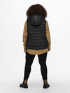 CarNewTahoe Hood Waistcoat-Pluspige